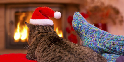 Gray Cat with Santa hat and a fireplace. warme Füße