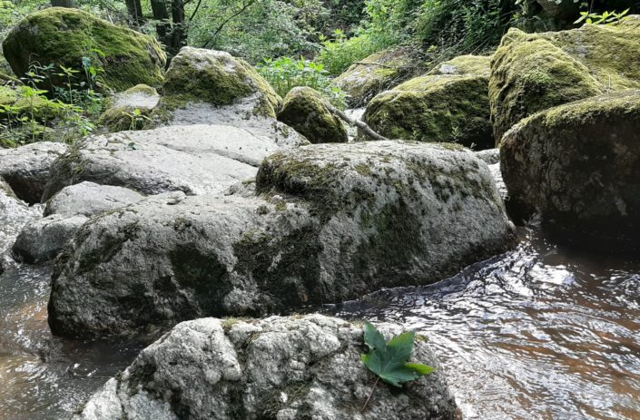 Cool down Ruhiger Geist, Erfrischung, für guten Schlaf sorgen